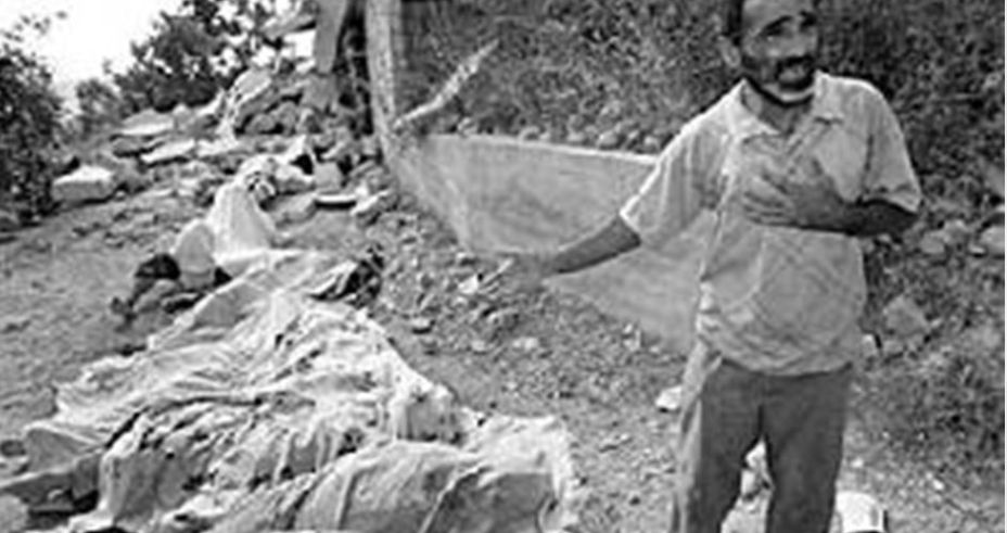 Massacre de Kafr Qasim