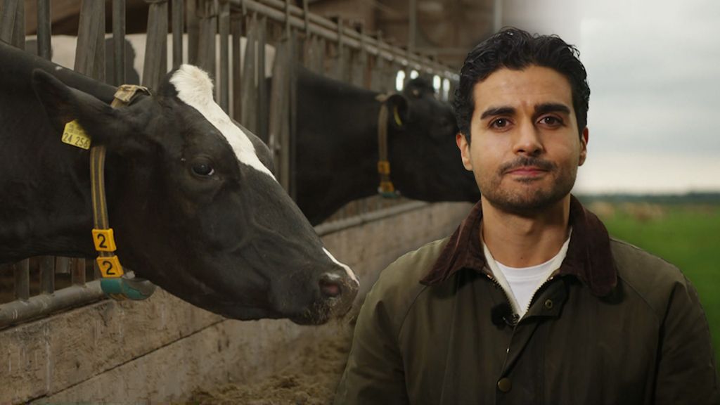 Mestcrisis en Nederland