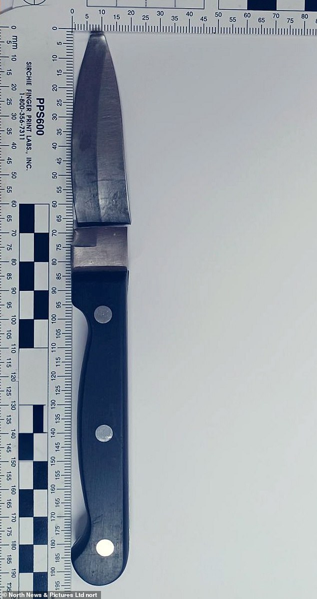 Holly suffered 36 injuries from the attack with a kitchen knife MacPhail had brought with him