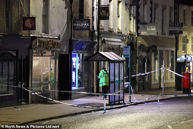 MacPhail stabbed Holly to death in a frenzied attack in an alleyway, the court heard