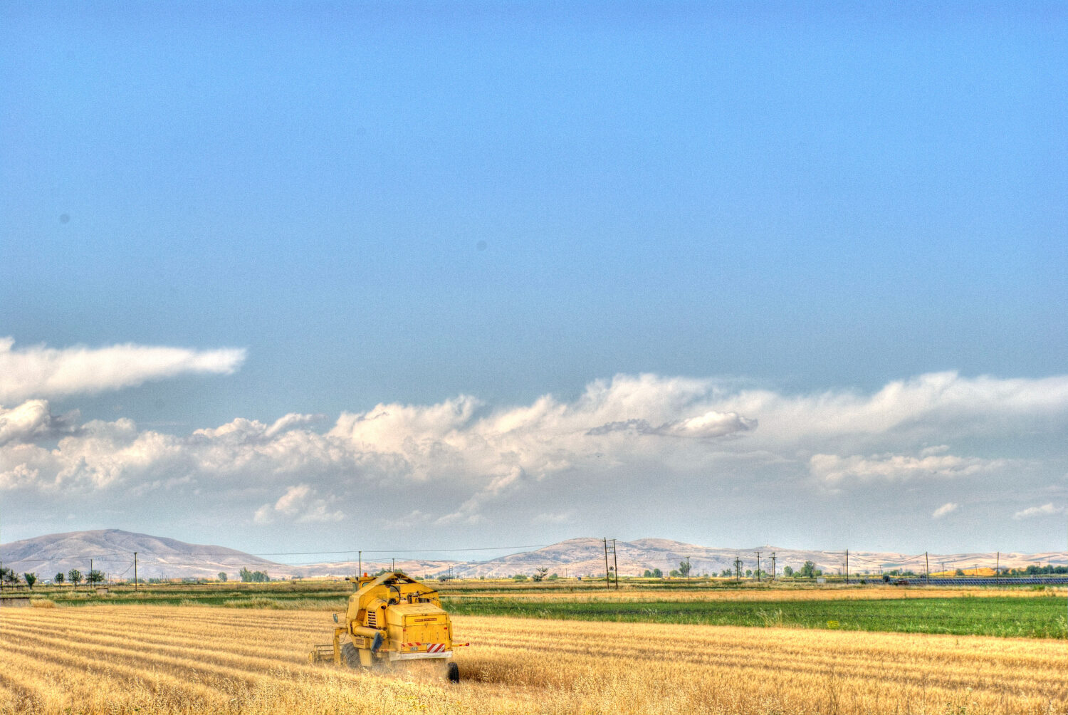 Agriculture industrielle et cycle de l'azote