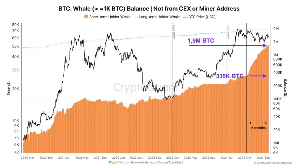 Accumulation des baleines Bitcoin