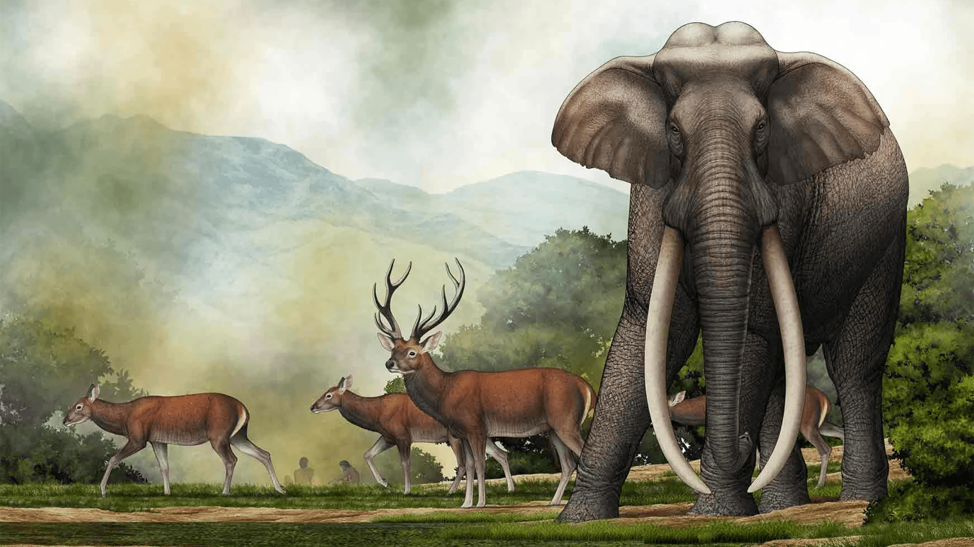 Illustration d'un éléphant préhistorique dans la vallée du Cachemire