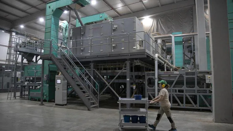 Dcoop a investi dans ses installations de Villarrubia pour améliorer la production d'amandes