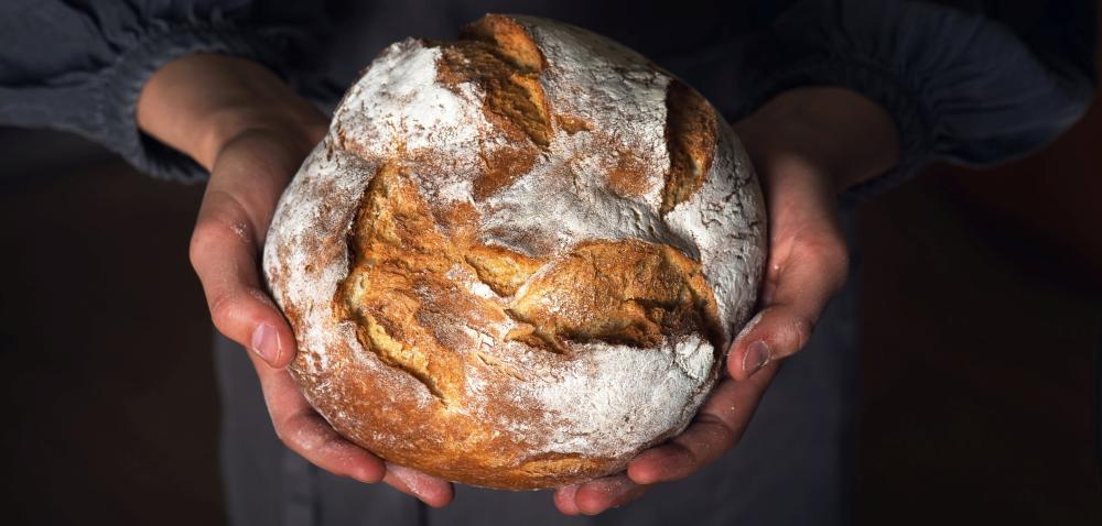 L'évolution des glucides et leur impact sur l'humanité