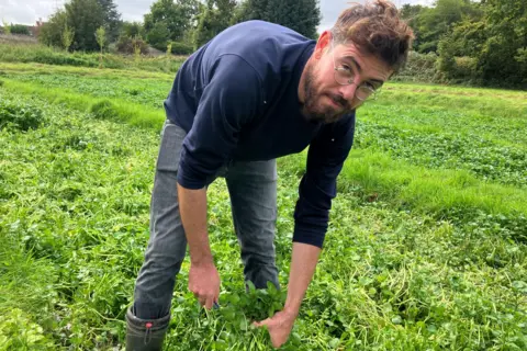 Un homme récoltant du cresson