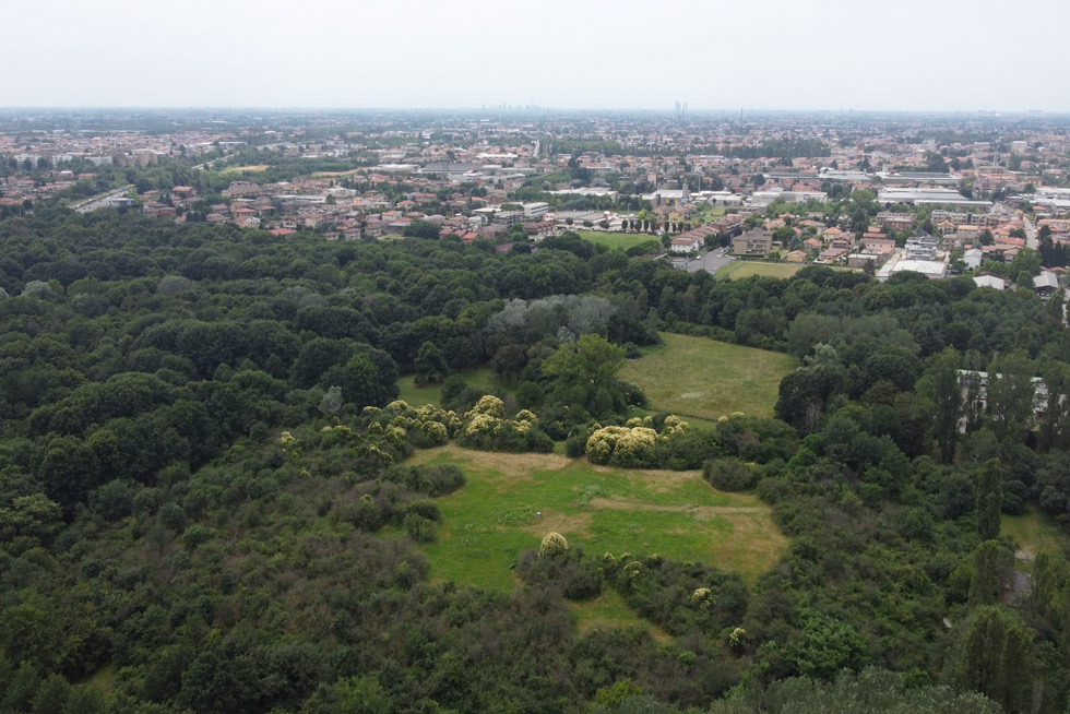 Il parco del Bosco delle Querce, fra i comuni di Meda e Seveso; e sullo sfondo la città di Milano