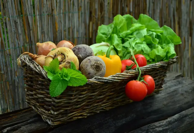 Une bonne alimentation est essentielle pour la santé