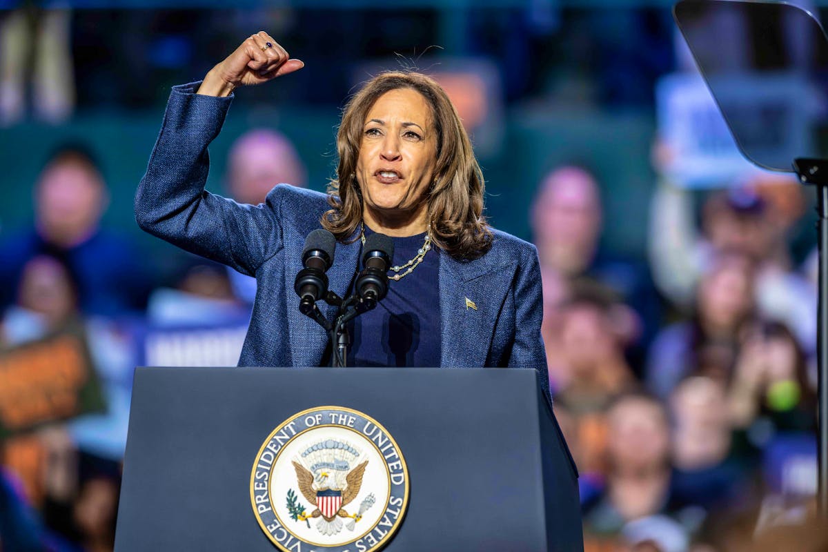 Kamala Harris lors d'un rassemblement à l'Université d'État du Michigan, East Lansing, le 3 novembre 2024.