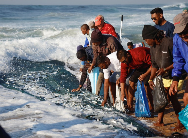 Pêche illégale