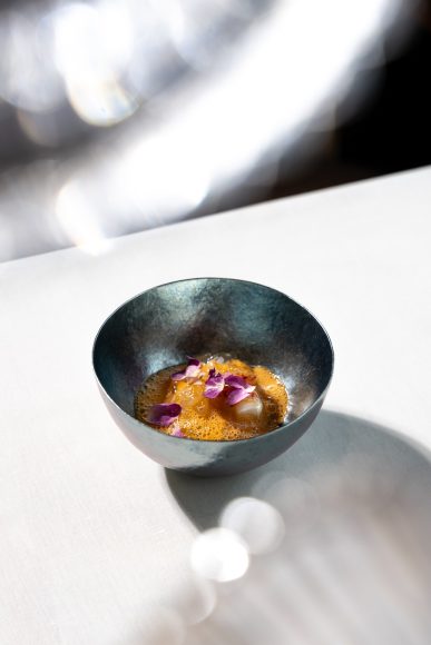 Homard bleu blanc rose