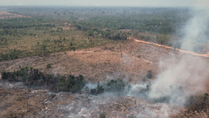Environnement : à la poursuite des incendiaires de la forêt amazonienne