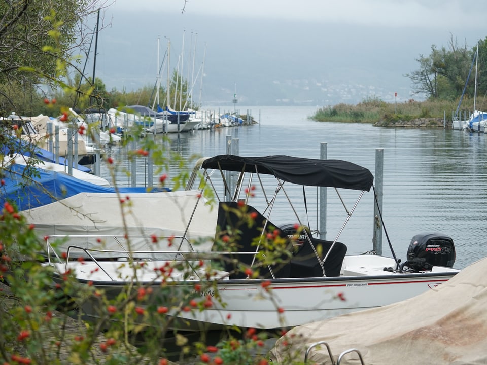 Boats in a harbor by the lake