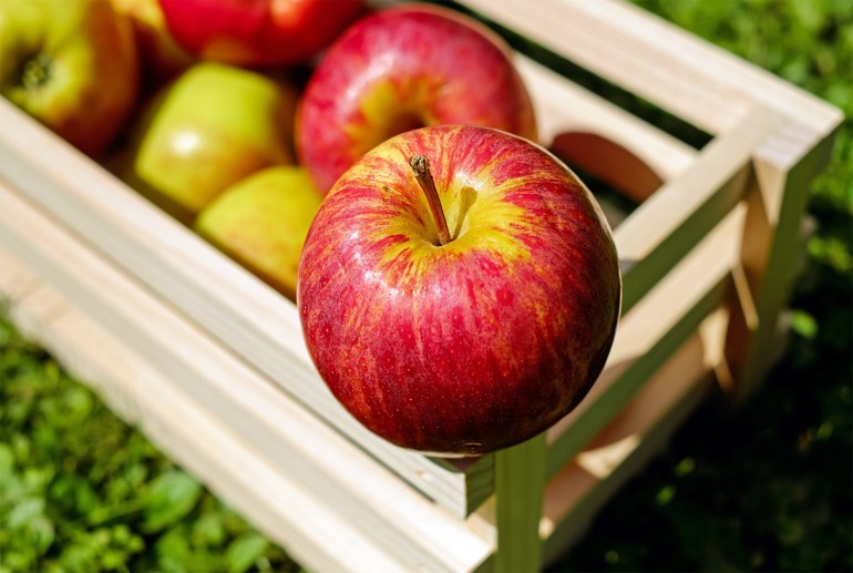 Une pomme