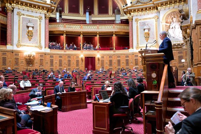 La ministre de la santé et de l’accès aux soins, Geneviève Darrieussecq, lors d’une séance sur l’examen du projet de loi de financement de la Sécurité sociale pour 2025, au Sénat, à Paris, le 18 novembre 2024.