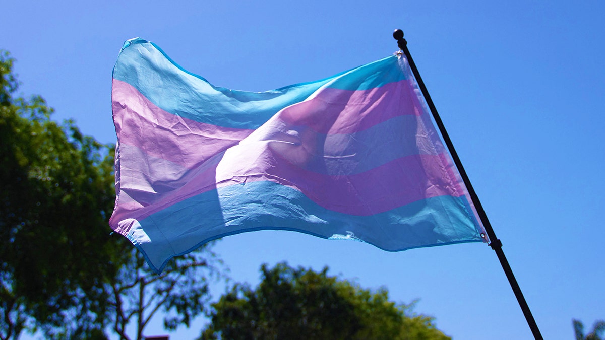 Drapeau de la fierté transgenre