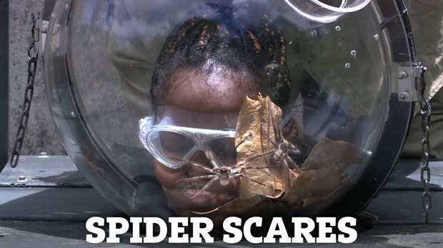 Oti Mabuse dans l'émission I'm A Celebrity