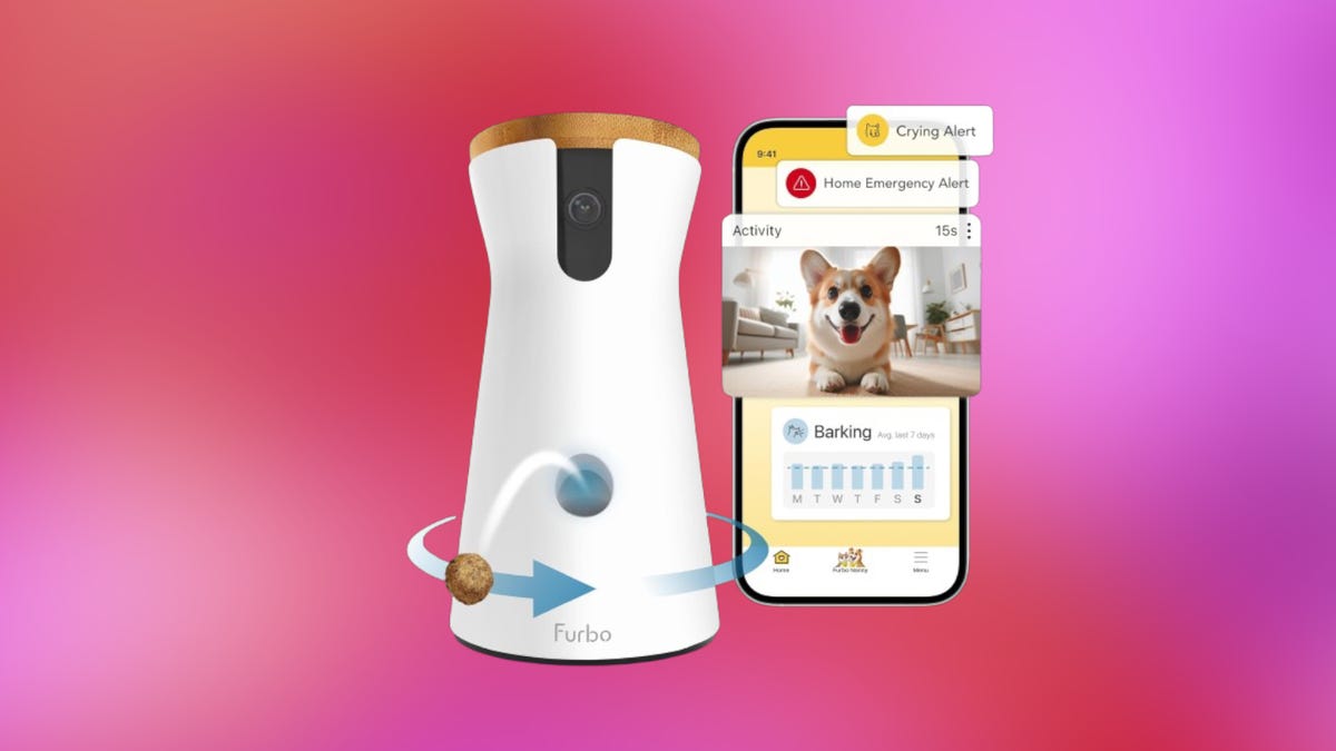 Caméra Furbo pour chien