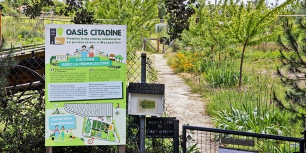 La première ferme urbaine collaborative en permaculture à Montpellier