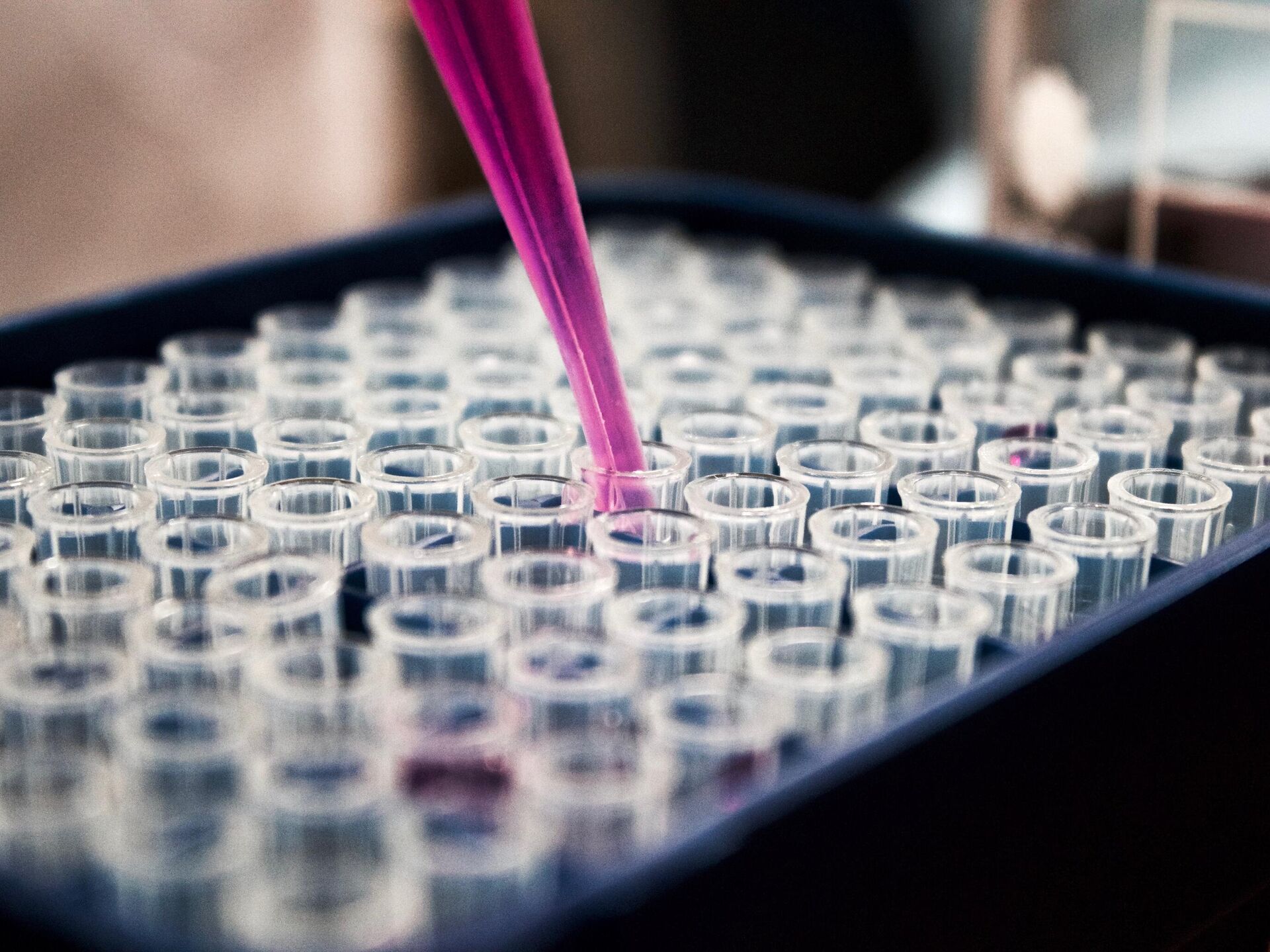 Laboratoire Moldiag au Maroc