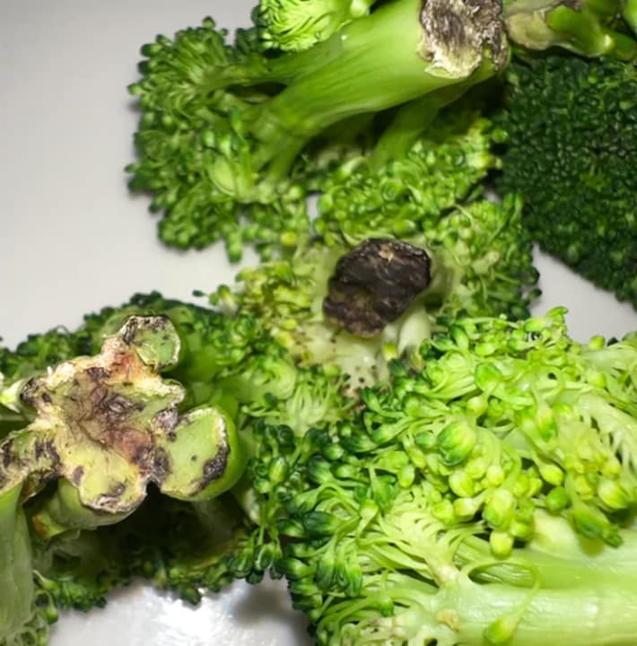 Brocoli moisi