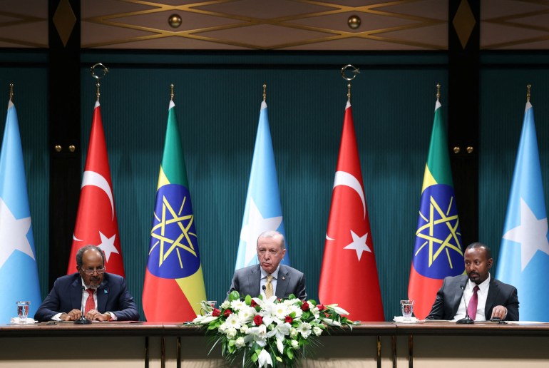 Erdogan et les dirigeants somaliens et éthiopiens