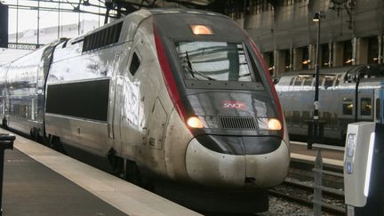 Un TGV à la gare de Lyon, à Paris, le 9 décembre 2024. (QUENTIN DE GROEVE / HANS LUCAS / AFP)