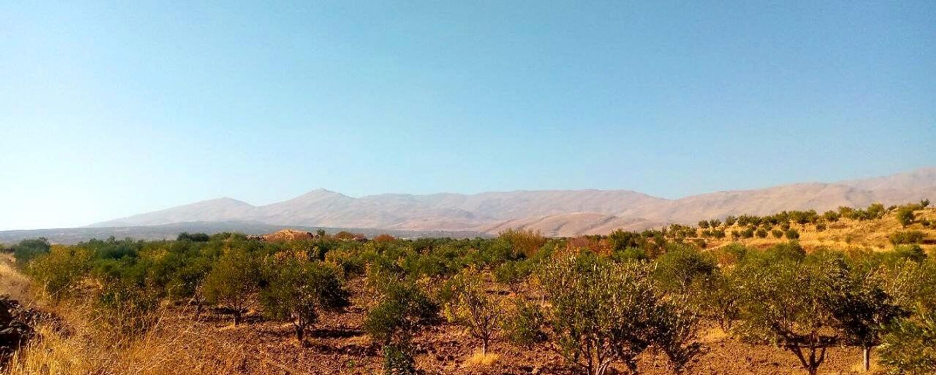 Opérations militaires israéliennes dans la région des hauteurs du Golan