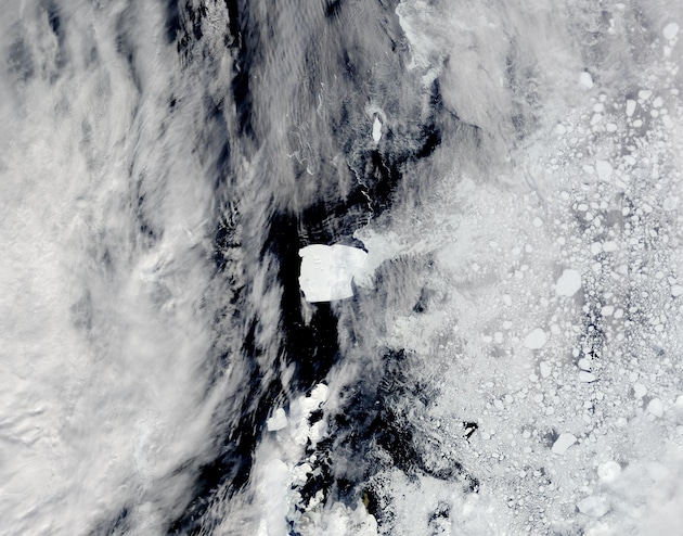 L'iceberg A23a dérive vers son destin