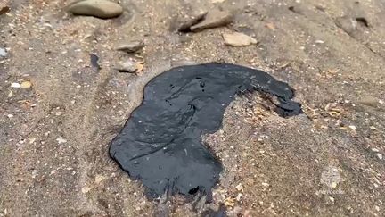 Marée noire près d'Anapa