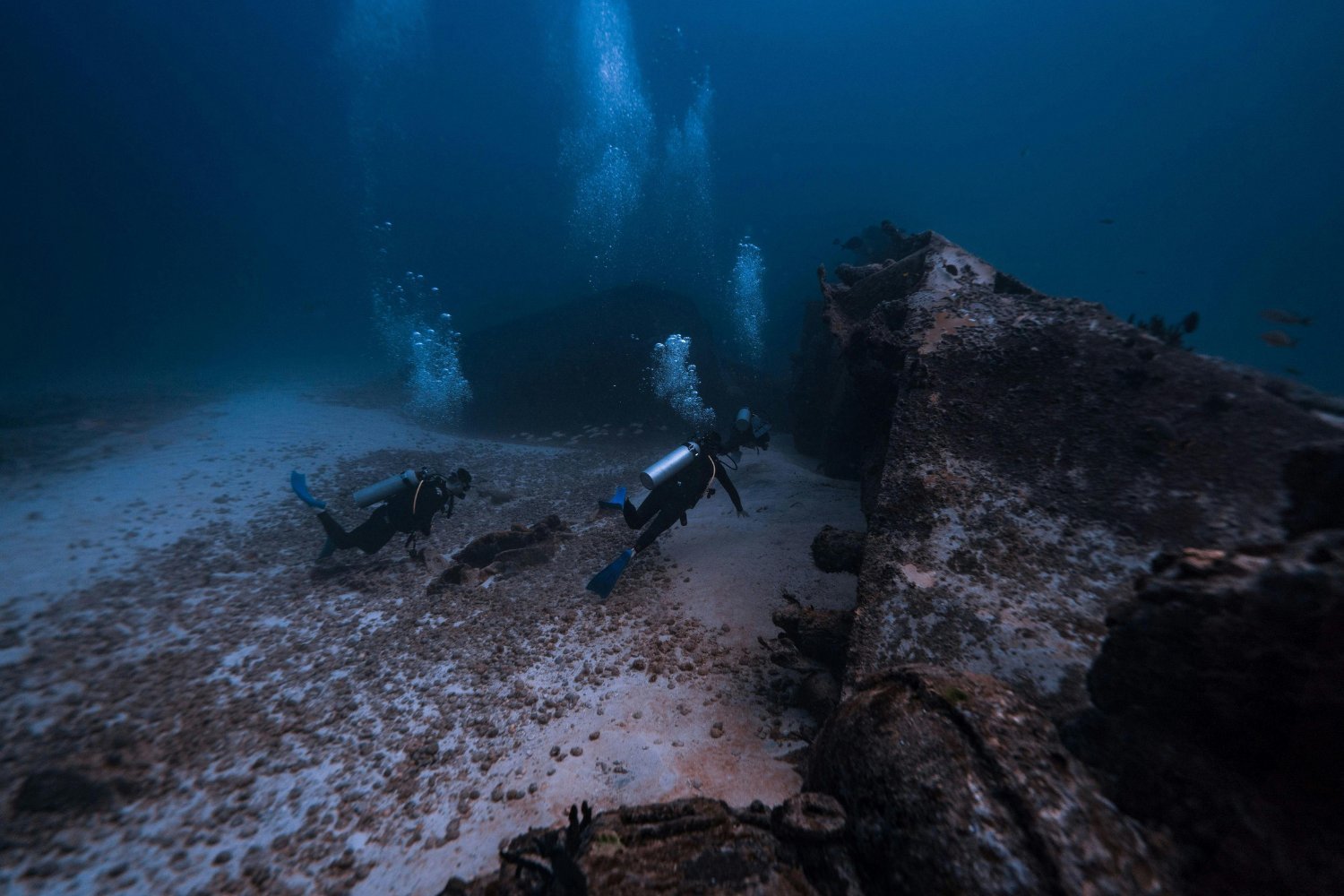 Découvertes sous-marines en 2024