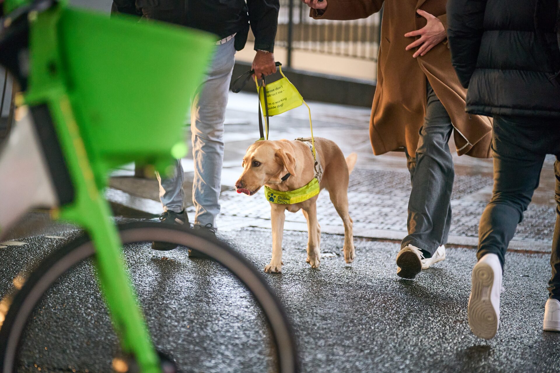 Avec une longue canne, tout prend trois ou quatre fois plus de temps