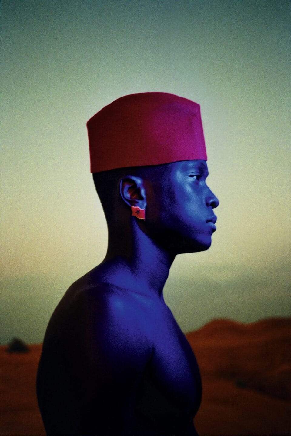 Portrait vibrant de la diversité
