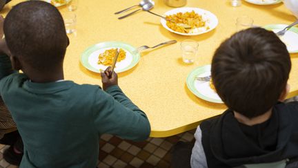 Interdiction des plastiques dans les cantines