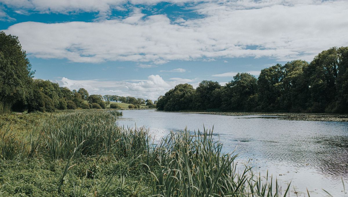 Le Canal Seudre-Charente