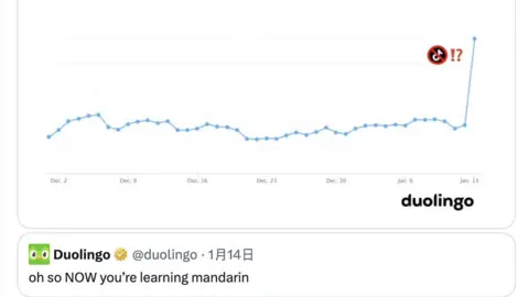 Graphique de Duolingo montrant l'augmentation des utilisateurs