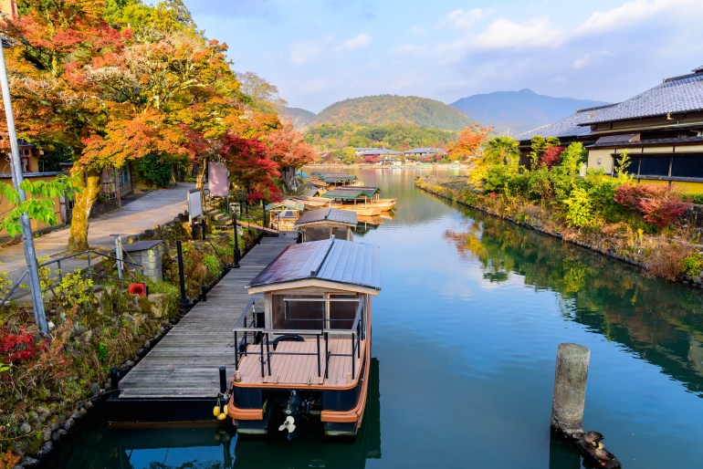 Forêt d'Arashiyama