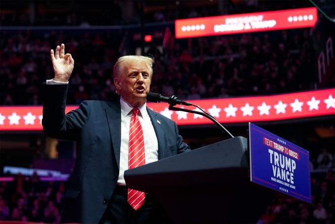 Donald Trump sur la scène de la Capital One Arena, à Washington, le 19 janvier 2025.