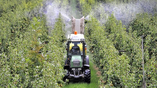 Pesticides dans les fruits et légumes