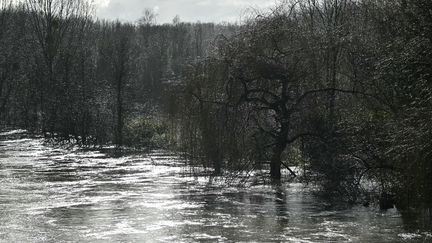 L'Orne en crue près de Feuguerolles-Bully (Calvados), le 9 janvier 2025. (LOU BENOIST / AFP)