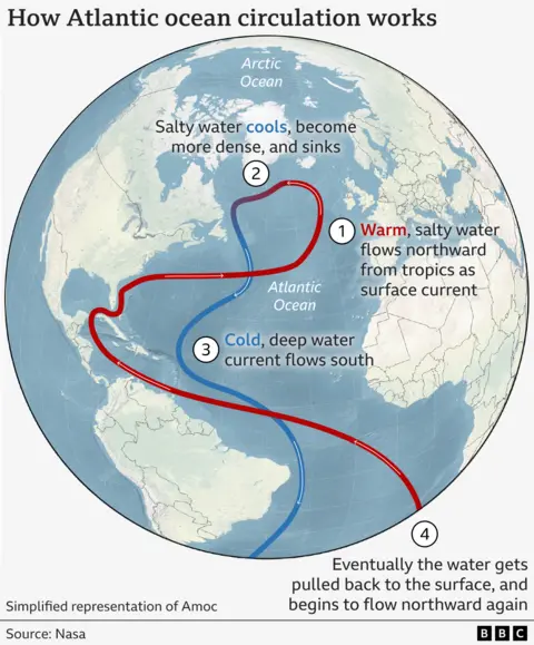 Carte annotée de l'Atlantique Nord montrant comment fonctionne l'Amoc.