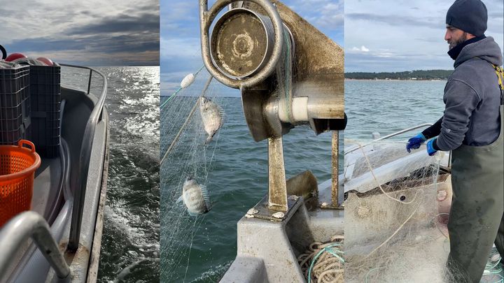 Filets de pêche