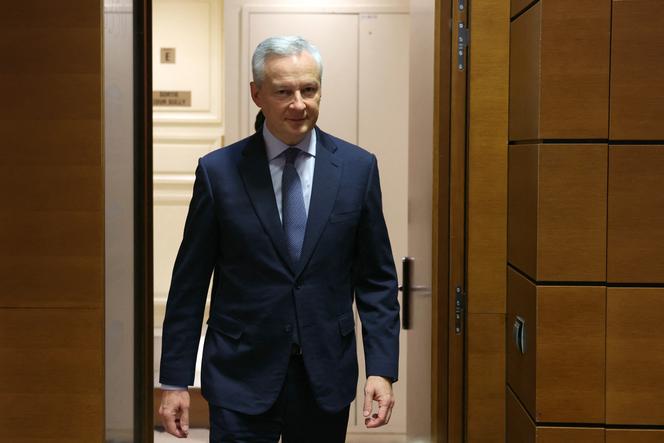 L’ancien ministre des finances Bruno Le Maire, à l’Assemblée nationale, le 12 décembre 2024.