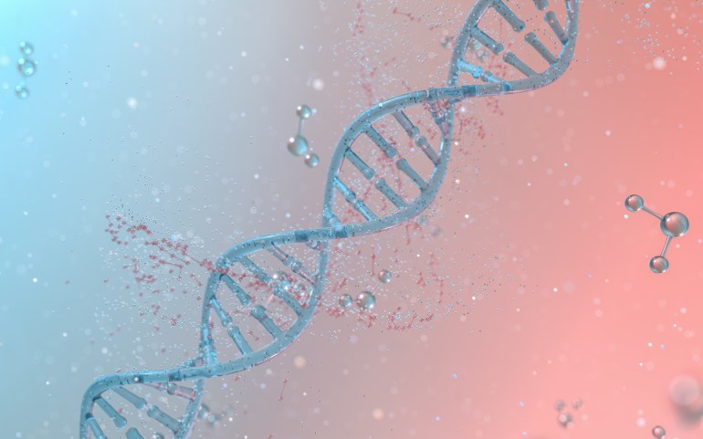 Structure des génomes ADN avec division moléculaire, rendu 3D.