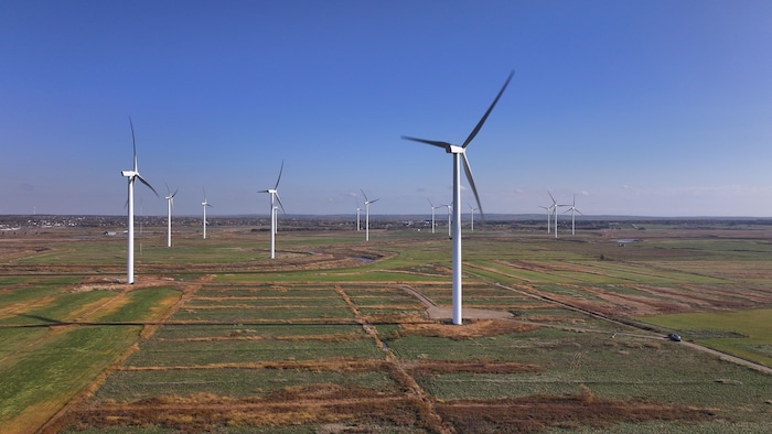 Des éoliennes dans un champ.