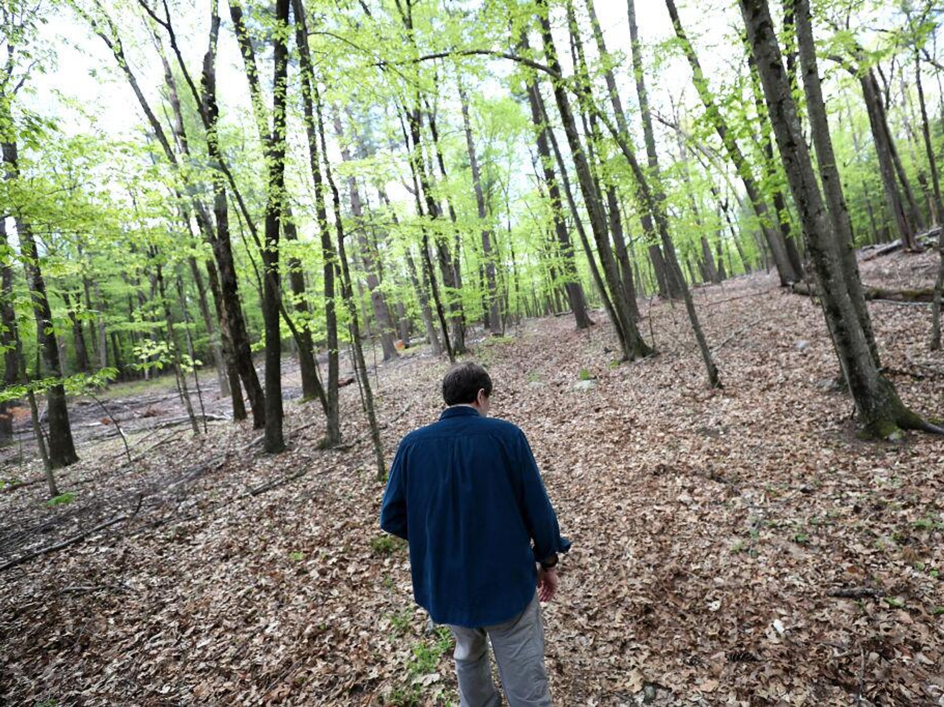 Recherche sur la démence