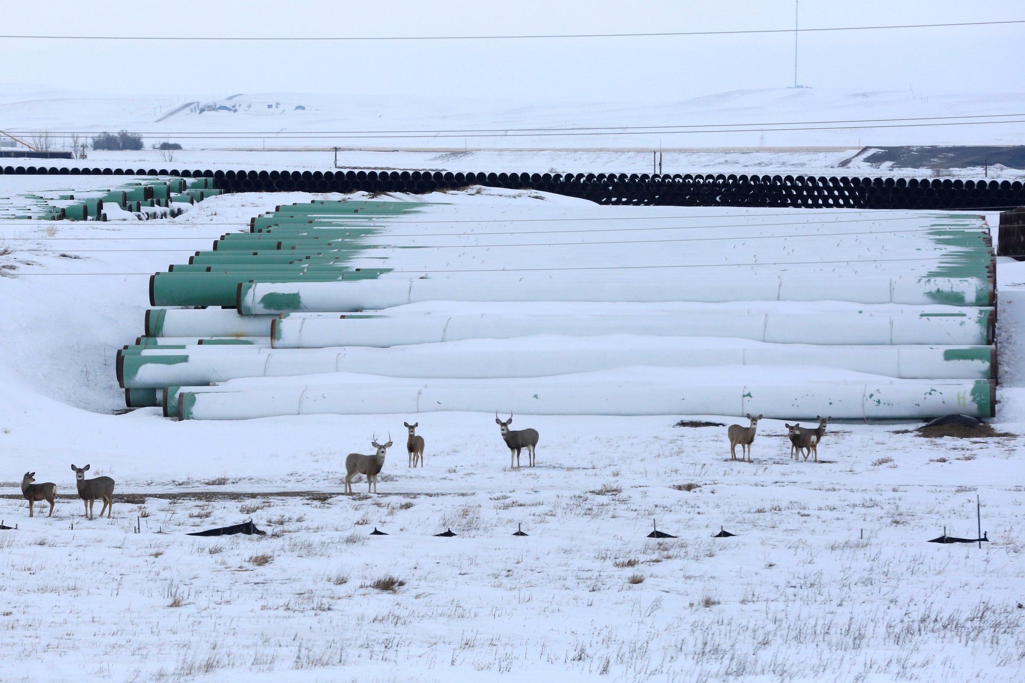 Le projet Keystone XL avait été abandonné en 2021 sous Joe Biden.