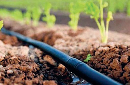 Infrastructures hydroagricoles dans l'Oriental