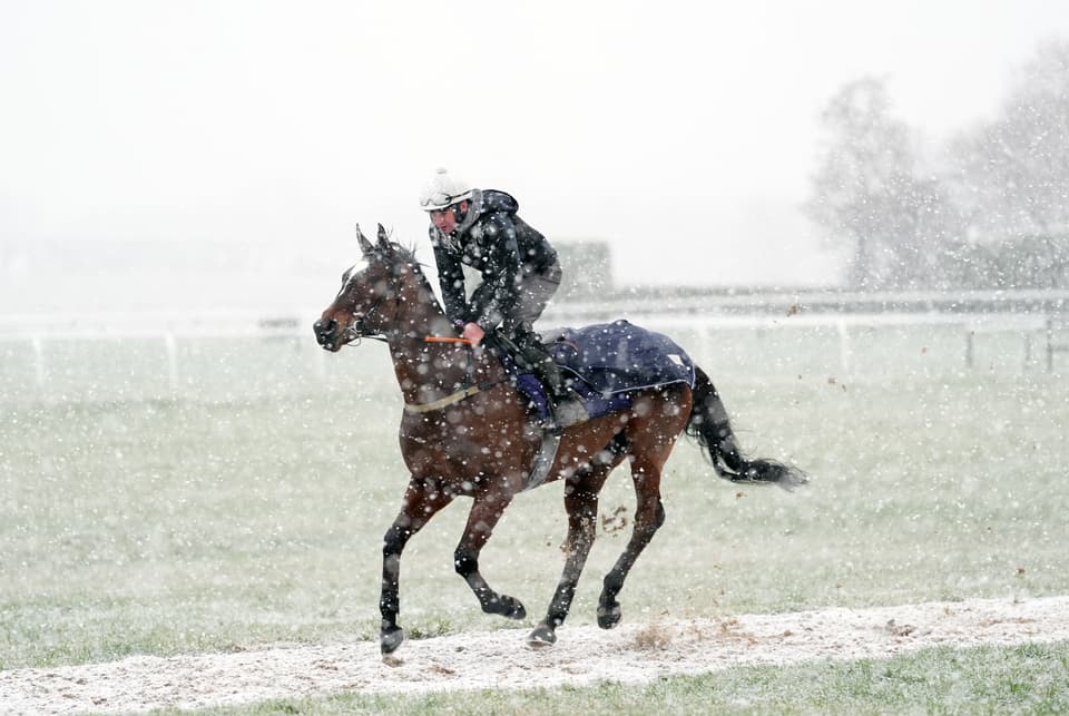 Cheltenham Festival sous la neige