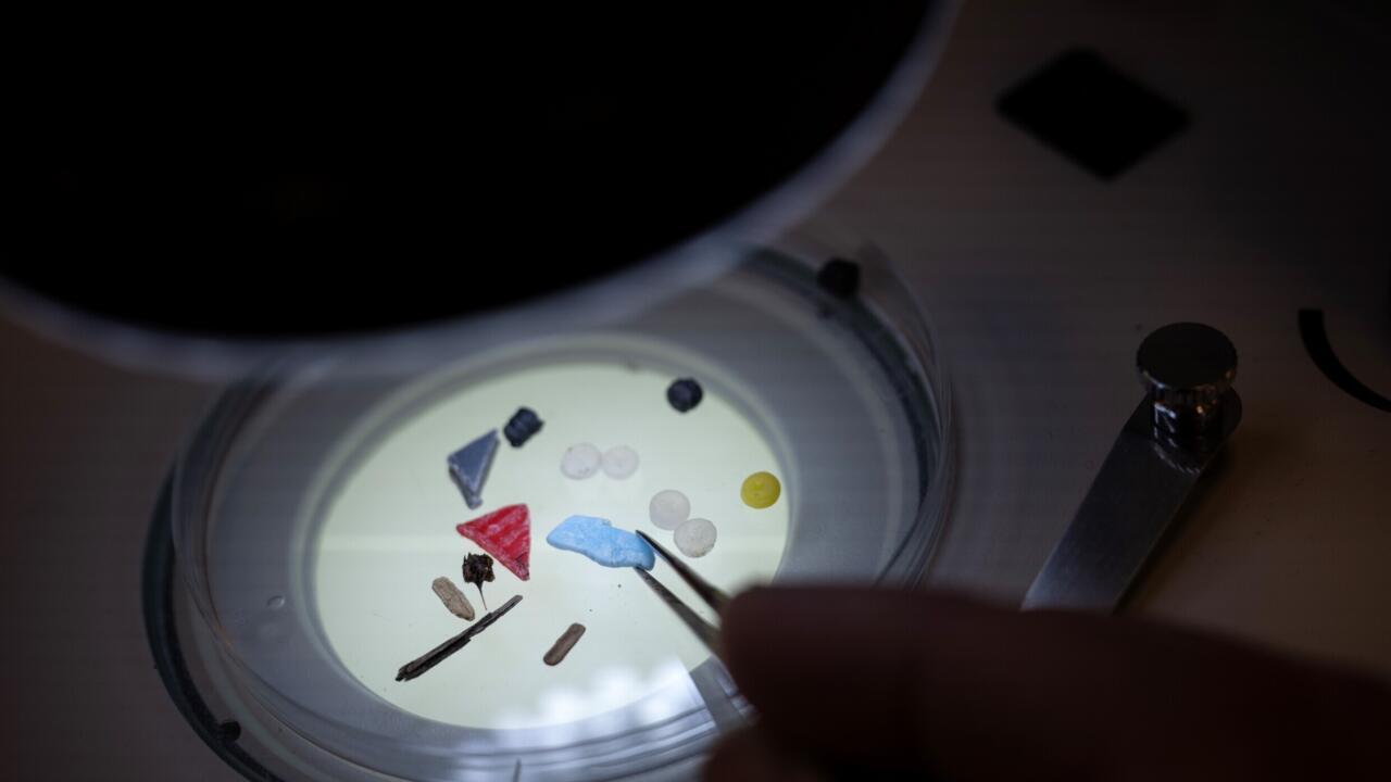 Des microplastiques sous un microscope d'un laboratoire de l'université britannique de Plymouth en février 2023